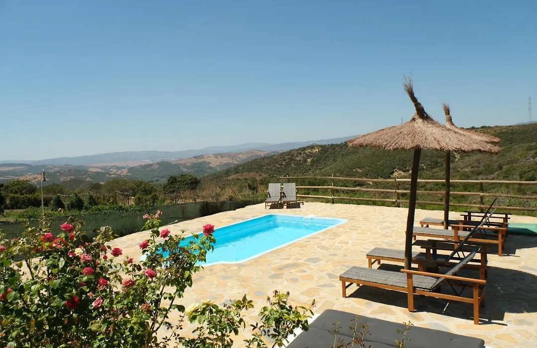 The Wild Olive Andalucia Citrus Suite-1