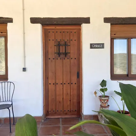 The Wild Olive Andalucía Citrus Suite-3
